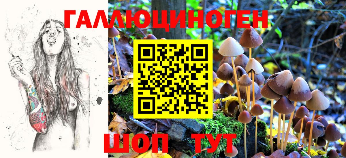 Алексин  Псилоцибиновые грибы Psilocybe  Вход с VPN 